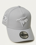 New Era 9FORTY A-Frame MLB Toronto Blue Jays Monochrome Gray Edition Cap